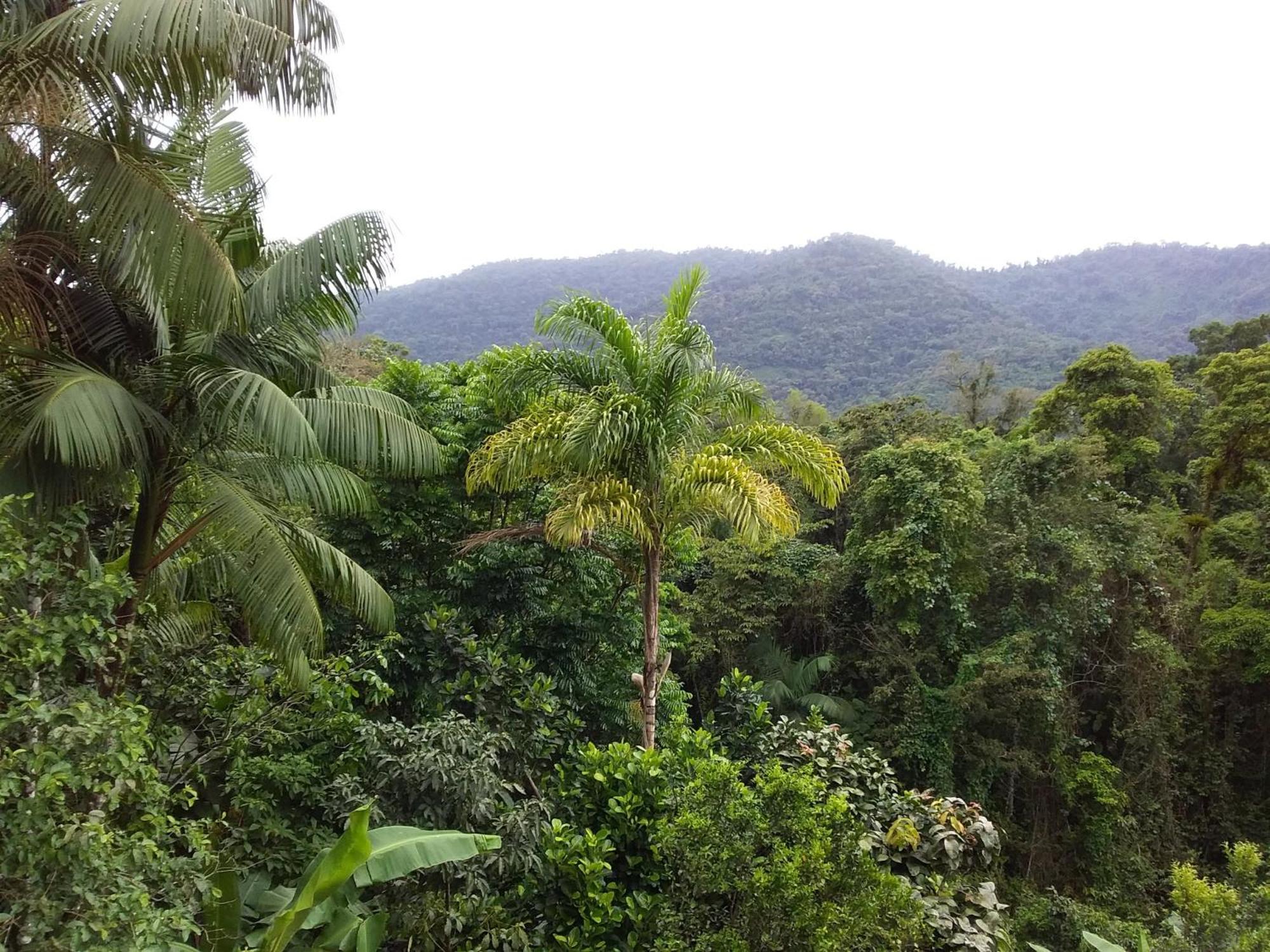 Praias Sp * Ubatuba